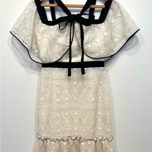Anthropologie Adelyn Rae Marissa Lace Flounce Dress in Ivory - Picture 3 of 12